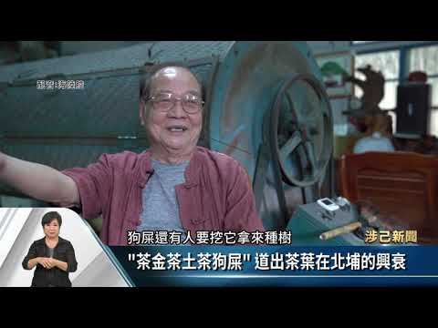 永光公司資深茶農 回憶北埔茶業昔日風光【客家每日新聞20211116】