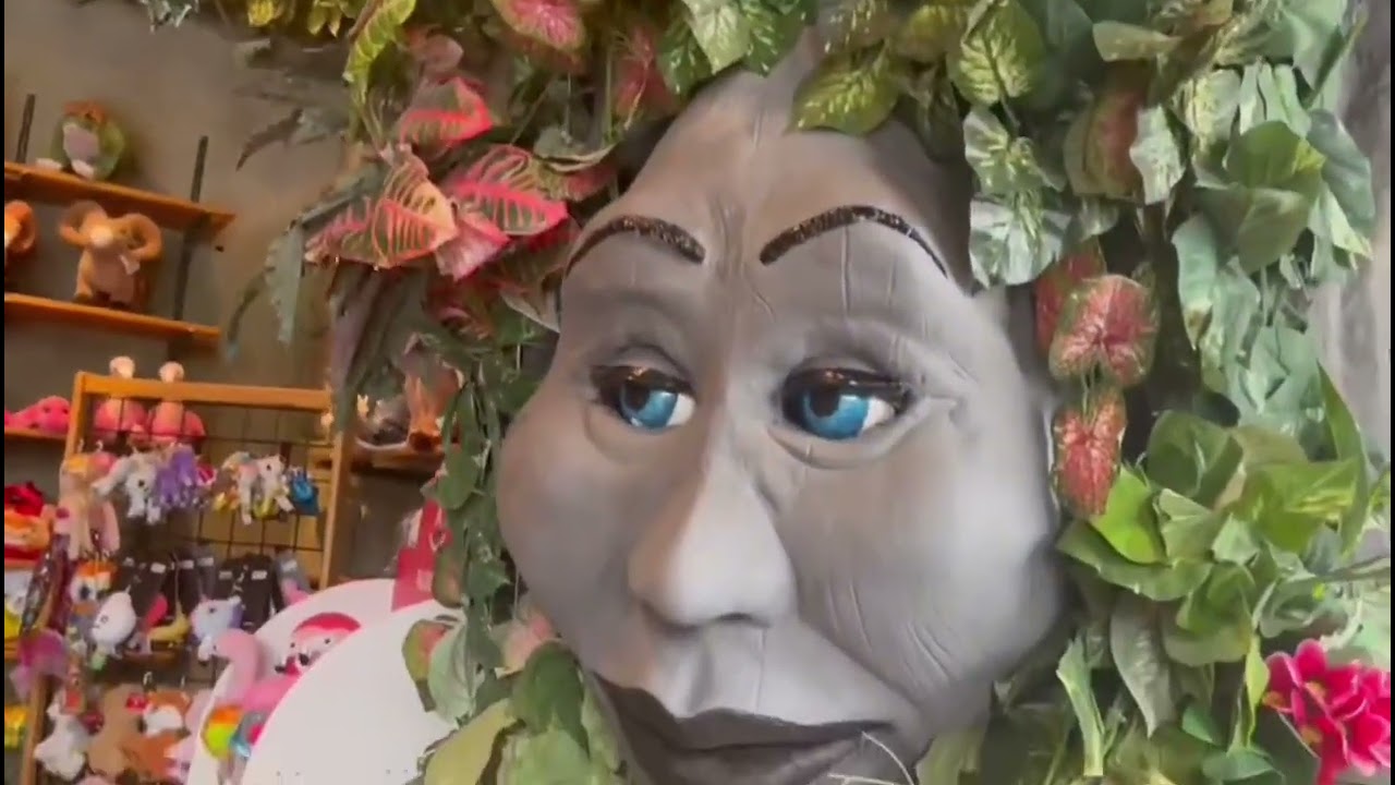 Rainforest Cafe Restaurant, Abu Dhabi, Yas Mall - Yas Island - Abu Dhabi 