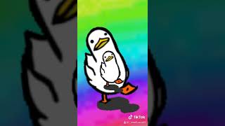 Tiktok Seagull Meme