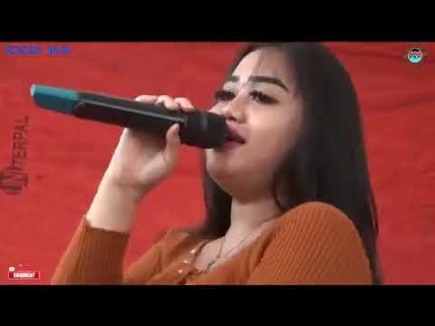 Ngobor Kodok | Rincem Nada #livestreaming