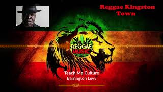 Barrington Levy - Teach Me Culture (HD Video)