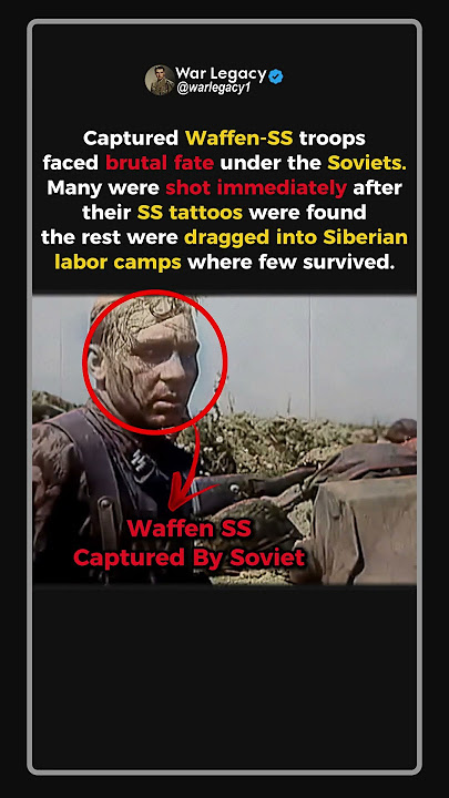 The Brutal Fate of Captured Waffen-SS #ww2 #shorts
