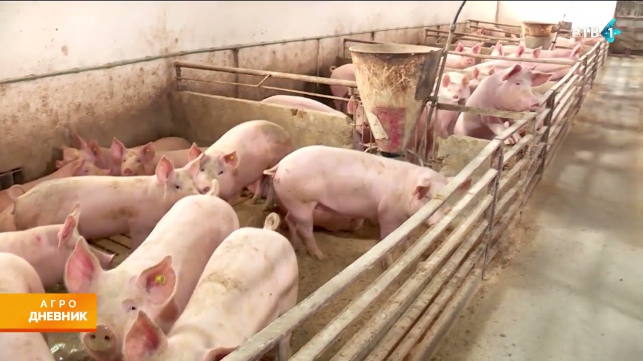 Agrodnevnik | 12.01.2026.