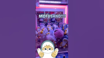 So glad we came here on New Years! 😻 #mofusand #clawmachine