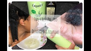 Best Pre-poo and Detangling Routine on 4C Hair| Simple & Effective | Zim Youtuber| SA Youtuber