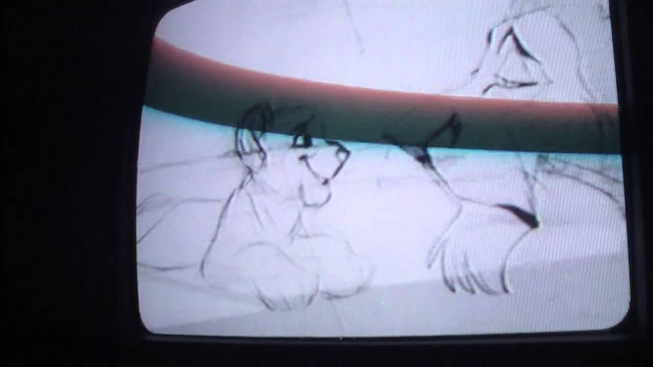 Opening To The Fox And The Hound 1994 Vhs Opening To The Fox And The Hound 1994 VHS - YouTube