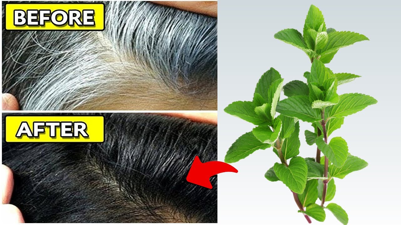 Kokosöl Und Zitrone Gegen Graue Haare Erfahrungen Dieses Rezept entfernt dauerhaft graue Haare. Mittel gegen graues Haar