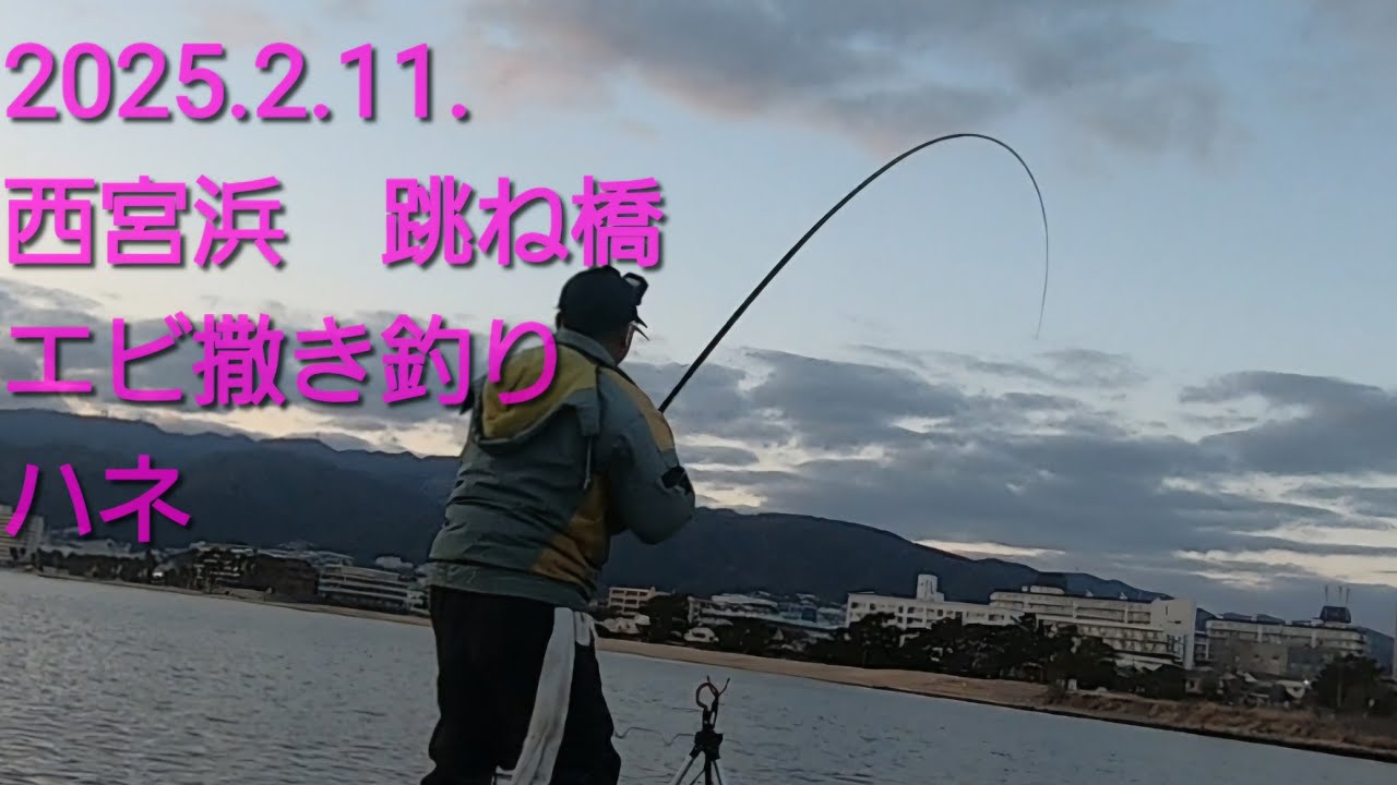 2025.2.11.西宮浜 跳ね橋 エビ撒き釣り ハネ！ - YouTube