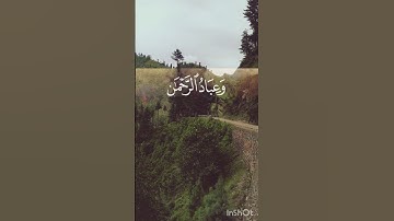 تلاوت قرآن پاک سورۃ الفرقان #تلاوات #قرآن #کریم #سورة #فرقان #☝️👍🕋💯✅️