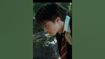 This trend for harry✨ (comment who i should do next)#harrypotter #silverdoe #heatwaves #shorts