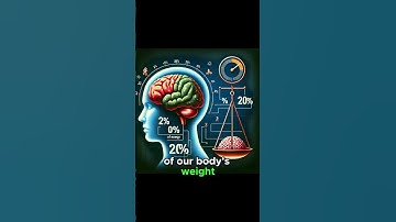 The Incredible Energy Efficiency of the Human Brain