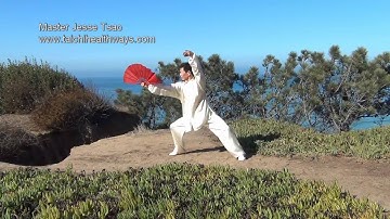 Jesse Tsao: Tai Chi Fan in Chen Style Form 36 - Tying Coat & Six-sealing Four-closure