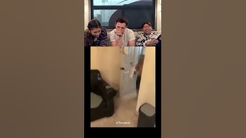 Tom Holland react try to laugh part 196 #tomholland #trynottolaugh #funny #reaction