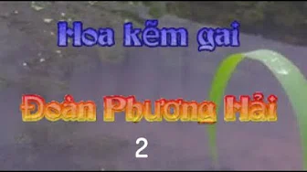 02 Hoa kẽm gai - Đoàn Phương Hải