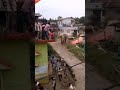 الفيل معصب Shorts 