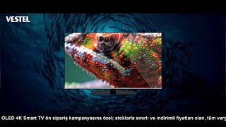 Vestel OLED Resimi