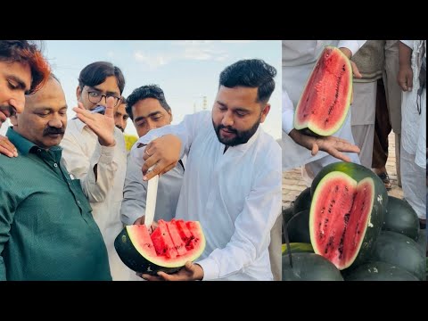 How to sell fruit in market