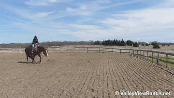 A Trendy CD - working the flag! - ValleyViewRanch.net