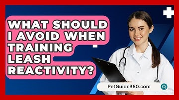 What Should I Avoid When Training Leash Reactivity? - PetGuide360.com