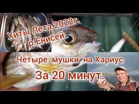 Хиты Лета 2022г. Четыре мушки на Хариус за 20минут