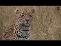 Pt 2  Safari Live&#39;s Sunrise Safari Drive at 8:30 AM on May 01, 2018 ( Hosana )