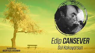 Edip Cansever | Gül Kokuyorsun