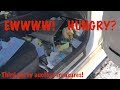 2010 Toyota Camry 3rd party auction car rebuild Part 1: Salvage does not mean totaled!