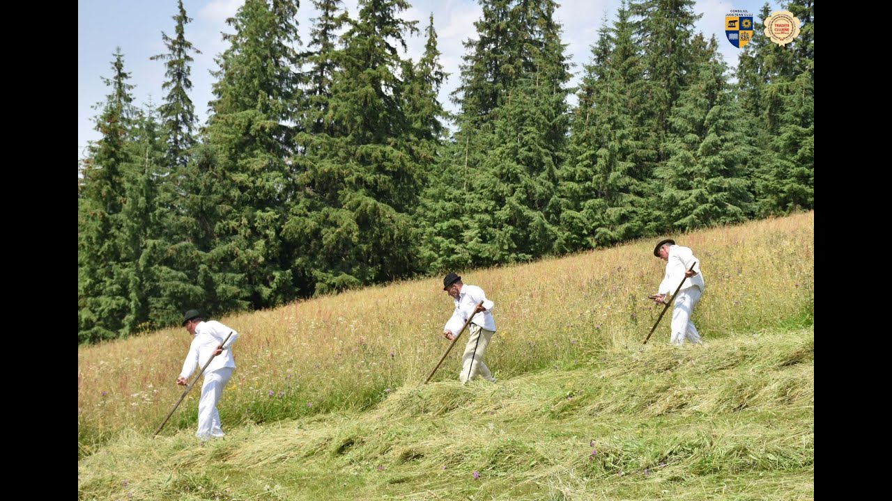 Claca de coasă - film documentar etnografic