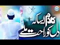 New naat sharif 2023  taskeenedil  heart touching naat  pehchan islam