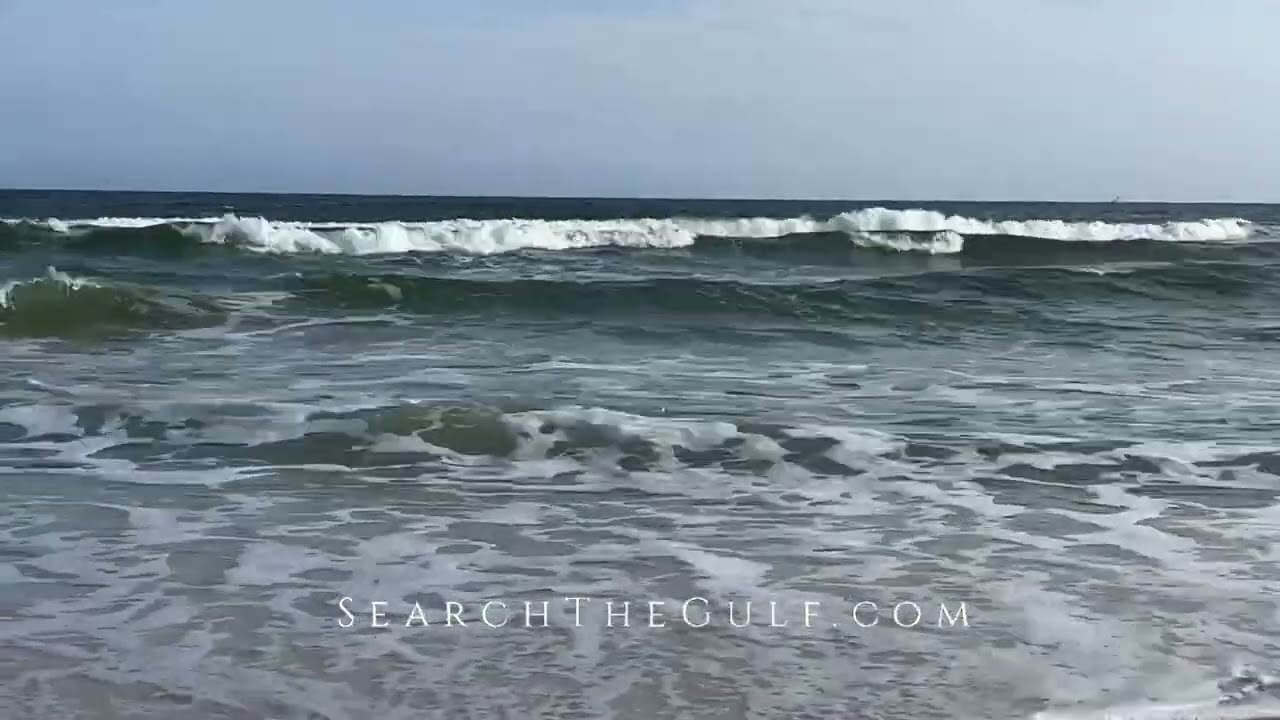 Gulf Coast Living  | 