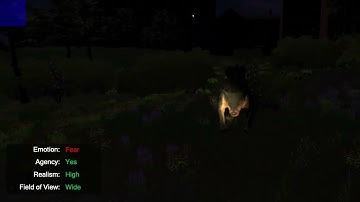 Realism and Field of View Affect Presence in VR but Not the Way You Think