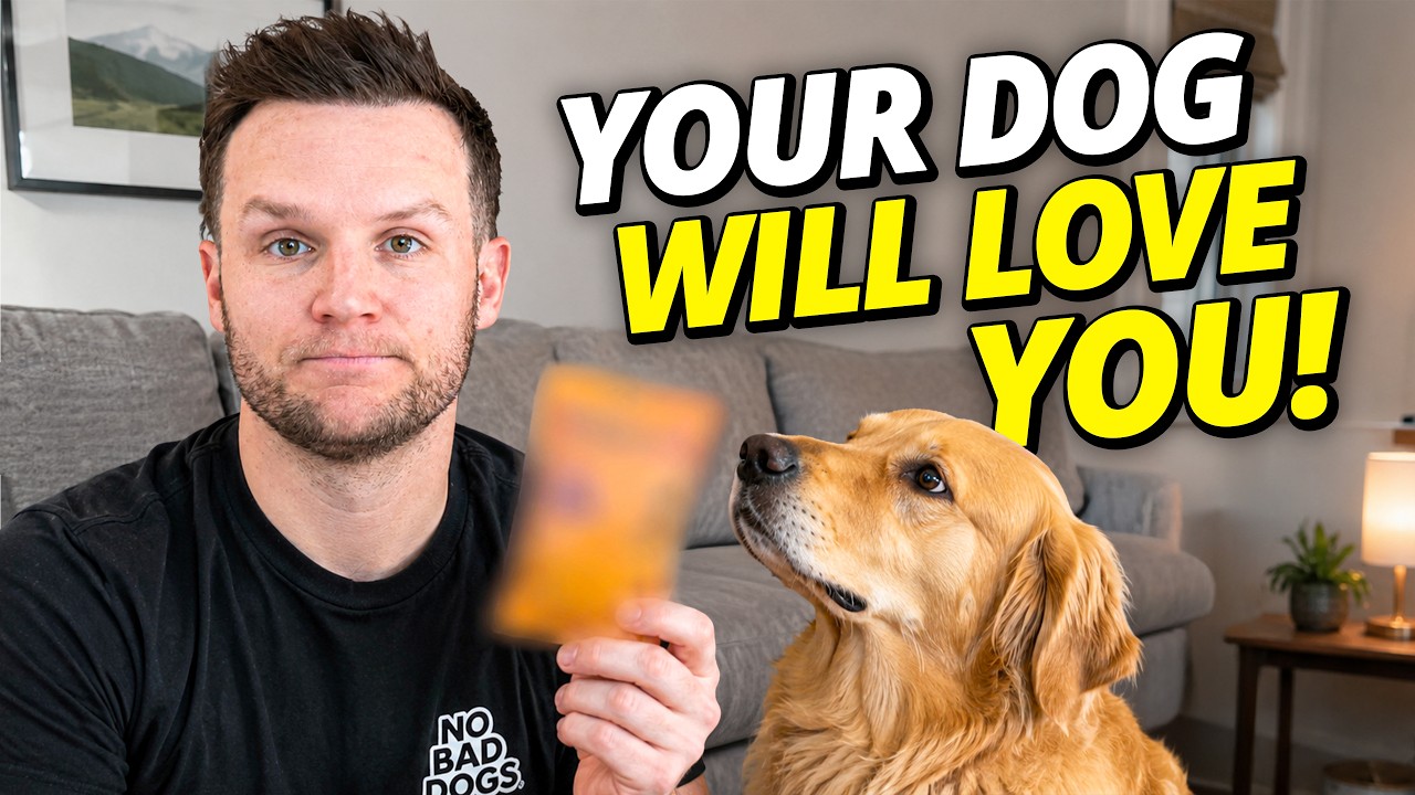 6 Things Your Dog Needs Every Single Day That You're Probably Skipping