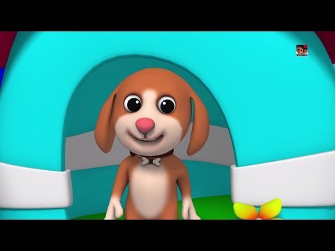 bingo lagu anjing  sajak pembibitan  Lagu anak-anak 3d  3D Kids Songs  Nursery Rhyme Bingo Dog