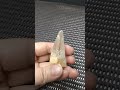 帶髮絲