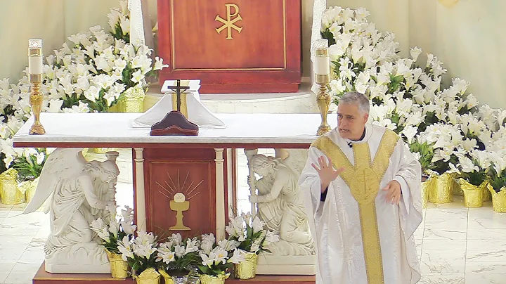 Father Mark Beard's Homily - "Busy" - 3rd Sunday of Easter, Year A 2023