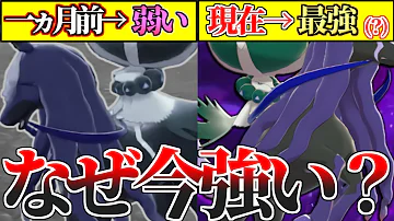 ポケモン 耐久黒バド