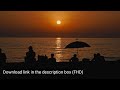Cinematic Beach Sunset Silhouette | Free FHD Stock Video No Copyright