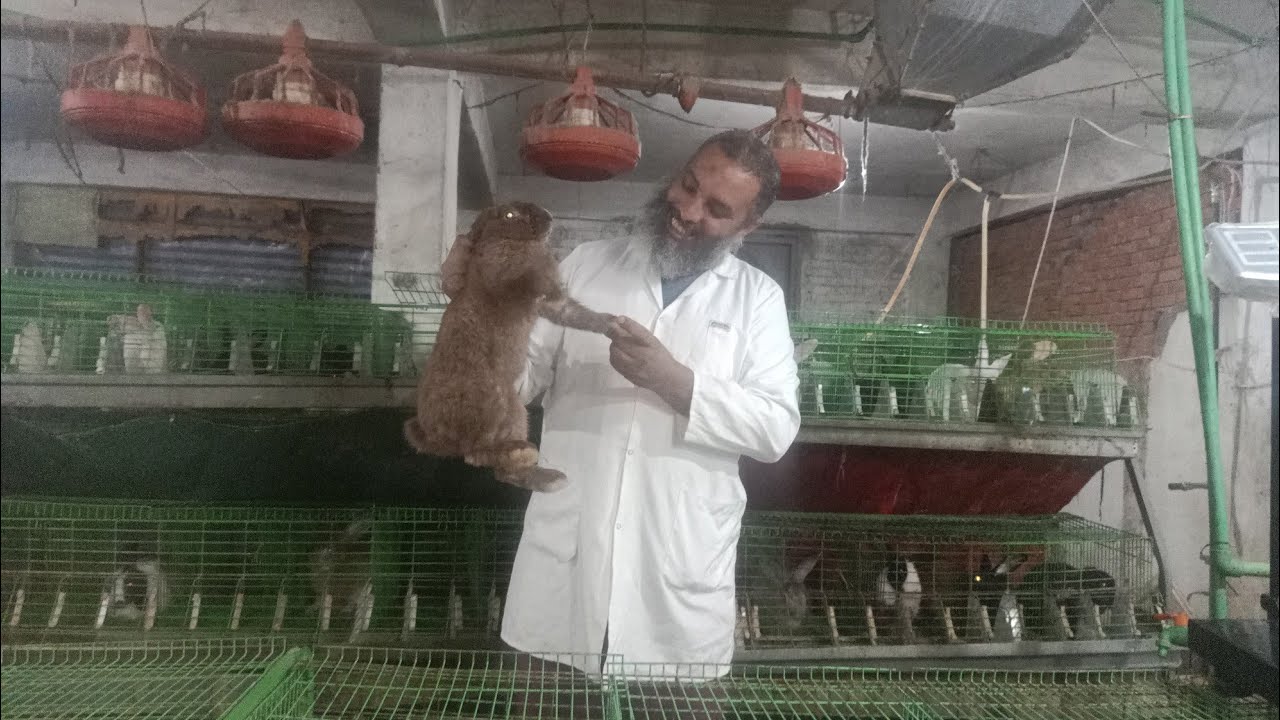 ارانب الخير علاج البرد كل وقت وله اذان ويارب اكون بفيدك