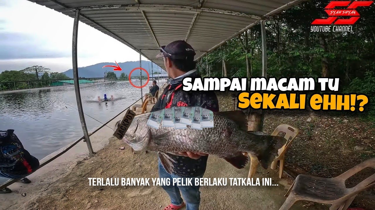 Cerita Sini Habis Sini.. Ikan Dapat, Manis-Manis Dapat‼️