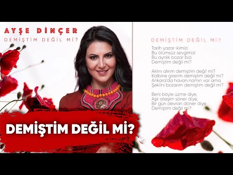 Ayşe Dinçer - Demiştim Değil Mi? (Official Audio)