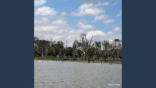 Acacia Snags - Nuru MacNamara