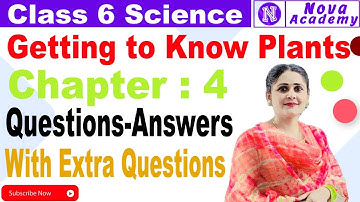 Class 6th Science Chapter 4  Getting to Know Plants ||Question Answers with Extra Questions