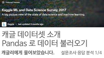 (1/4) 캐글러를 대상으로 데이터과학과 머신러닝에 대한 설문조사의 응답을 파이썬 데이터 시각화 툴로 분석해 봅니다.