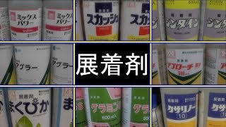 今更ながら展着剤の勉強!!農家の店しんしん店内編!!本日はお疲れ様でした!!／きゅうり農家／きゅうり栽培／愉快なshata農園