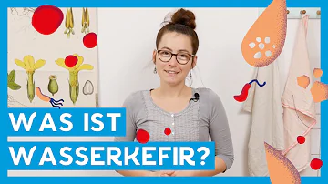 Für was ist Wasserkefir gut?