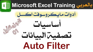 تصفية / فلترة البيانات 01 أساسيات إستخدام الفلتر Microsoft Excel Autofilter