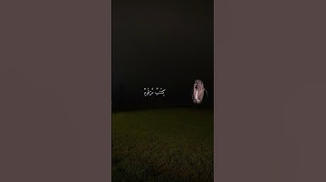 [‏اسم القارئ محمد اللحيدان ]  god forgive us.  #foryou #foryoupage #fyp #support #like #quran