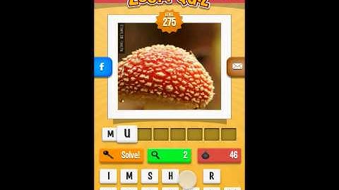 Zoom Quiz Levels 271-280 Answers