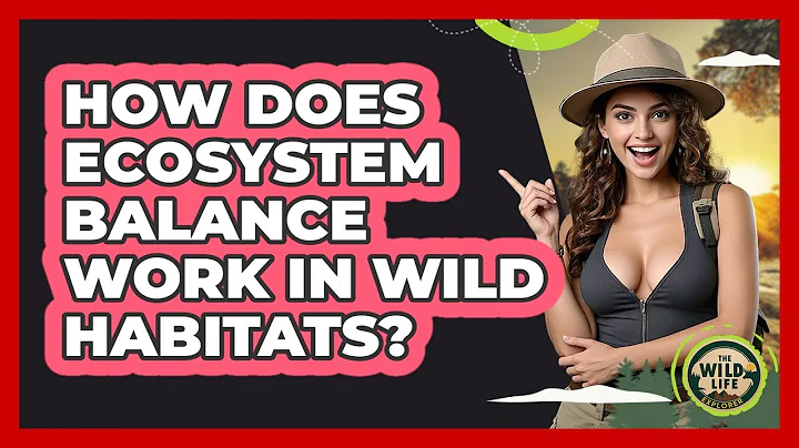How Does Ecosystem Balance Work In Wild Habitats?