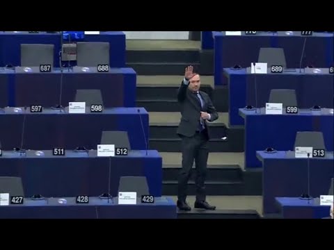 Bulgarian MEP accused of giving Nazi salute in European Parliament